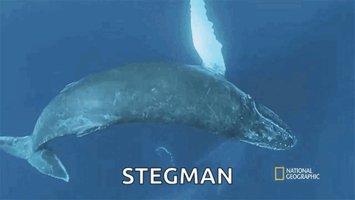 a poster for national geographic shows a whale in the ocean