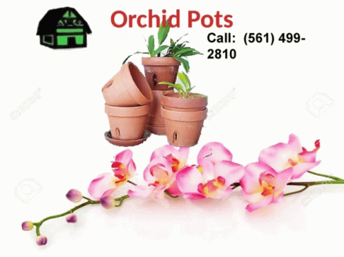 A Poster For Orchid Pots With A Picture Of Flowers GIF