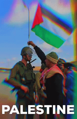 A Poster For Palestine Shows A Soldier Holding A Flag GIF