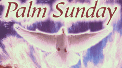 A Poster For Palm Sunday With A White Dove Flying In The Sky GIF