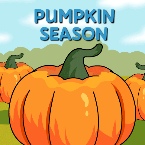 A Poster For Pumpkin Season With A Bunch Of Pumpkins In The Background GIF