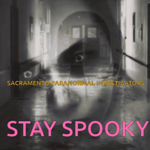 A Poster For Sacramento Paranormal Investigators Shows A Ghost GIF
