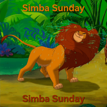 A Poster For Simba Sunday With A Lion In The Background GIF