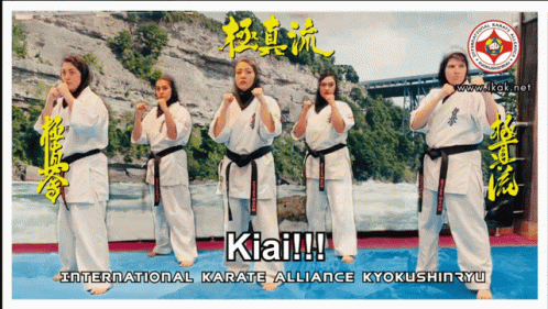 A Poster For The International Karate Alliance GIF