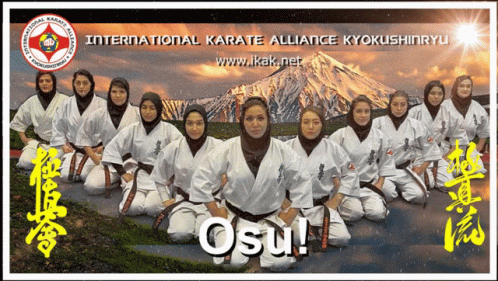 A Poster For The International Karate Alliance Kyokushinryu Shows A Group Of Women GIF
