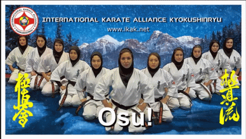 A Poster For The International Karate Alliance Kyokushinryu Shows A Group Of Women In Karate Uniforms GIF