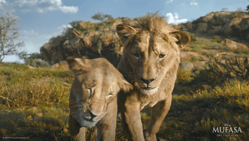 a poster for the movie mufasa the lion king with two lions
