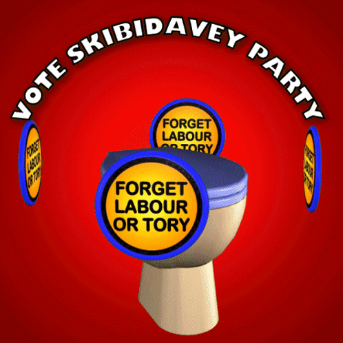 A Poster For The Skibidavey Party With A Toilet GIF