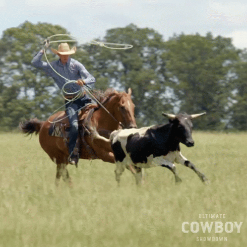 A Poster For The Ultimate Cowboy Showdown Shows A Cowboy Roping A Bull GIF
