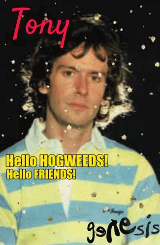 a poster for tony hogweeds says hello hogweeds