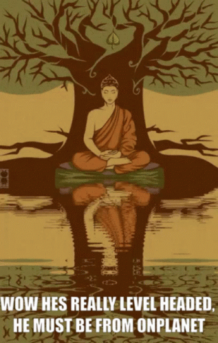 A Poster Of A Buddha Sitting Under A Tree With The Words Wow Hes Really Level Headed He Must Be From Onplanet GIF