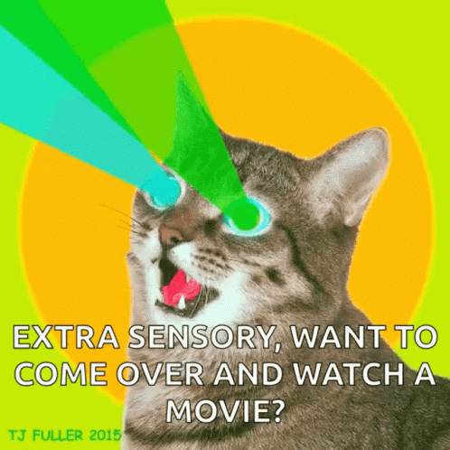 A Poster Of A Cat That Says " Extra Sensory Want To Come Over And Watch A Movie ? " GIF