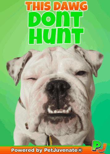 A Poster Of A Dog With The Words " This Dawg Dont Hunt " On It GIF