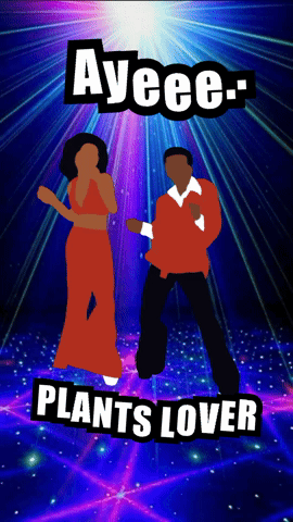 A Poster Of A Man And A Woman Dancing With Ayeee Plants Lover Written On The Bottom GIF