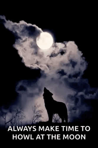 A Poster Of A Wolf Howling At A Full Moon GIF