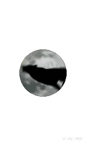 a poster of a wolf howling at the moon with writing 's on the wall written below it