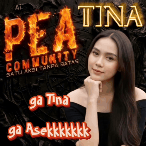 A Poster Of A Woman With The Name Tina On The Top GIF