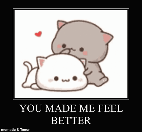 A Poster Of Two Cats Laying Next To Each Other With The Words `` You Made Me Feel Better '' . GIF
