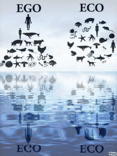 A Poster Showing Ego And Eco With A Reflection Of A Body Of Water GIF