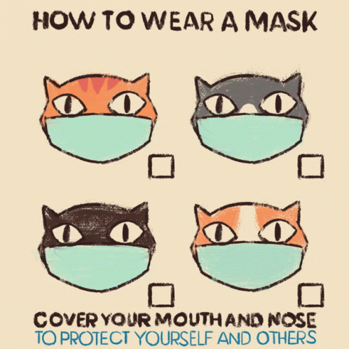 A Poster Showing How To Wear A Mask On Cats GIF
