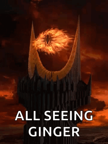 A Poster That Says All Seeing Ginger With A Picture Of An Eye GIF