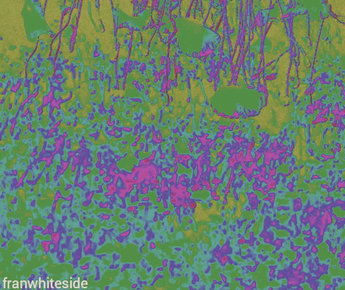 a poster that says another manic monday on a colorful background