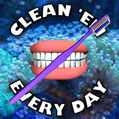 A Poster That Says Clean ' E ' Every Day With A Purple Toothbrush GIF