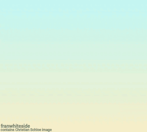 A Poster That Says Come Fly With Me And Let 'S Fly Away On It GIF