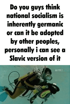 A Poster That Says Do You Guys Think National Socialism Is Inherently Germanic Or Can It Be Adopted By Other Peoples GIF
