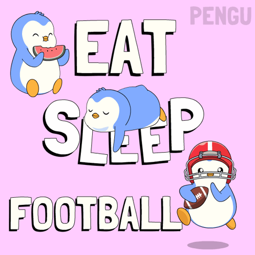 A Poster That Says Eat Sleep Football With Penguins On It GIF