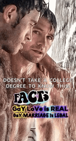 a poster that says facts gay love is real and gay marriage is legal