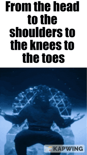 A Poster That Says From The Head To The Shoulders To The Knees To The Toes On It GIF
