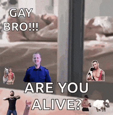 A Poster That Says Gay Bro Are You Alive On It GIF