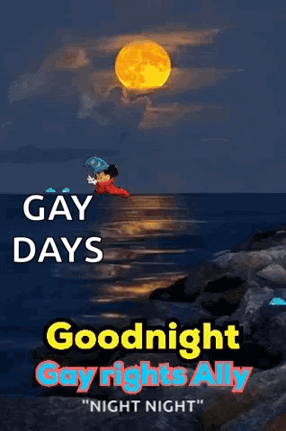 A Poster That Says " Gay Days Goodnight Gay Rights Ally Night Night " GIF