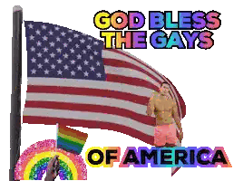 a poster that says god bless the gays of america with an american flag