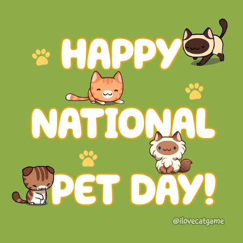 A Poster That Says Happy National Pet Day With Cats On It GIF