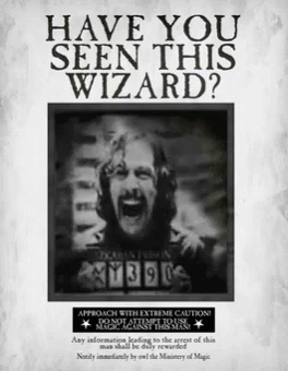a poster that says " have you seen this wizard "