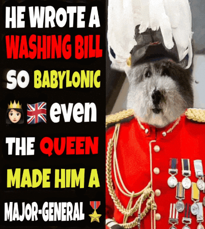 A Poster That Says He Wrote A Washing Bill So Babylonic Even The Queen Made Him A Major-General GIF