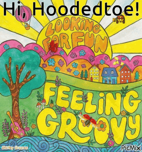 A Poster That Says Hi Hoodedtoe Feeling Groovy GIF