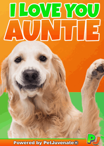 A Poster That Says I Love You Auntie GIF