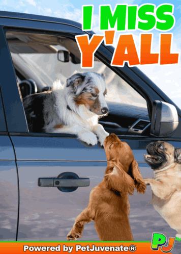 A Poster That Says I Miss Y'all On The Top GIF