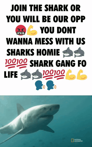 A Poster That Says Join The Shark Or You Will Be Our Opp On It GIF