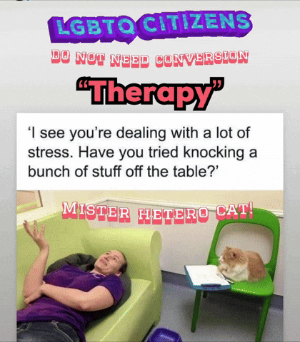 A Poster That Says ' Lgbt To Citizens Do Not Need Conversion Therapy ' GIF