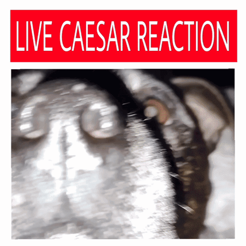 A Poster That Says Live Caesar Reaction With A Blurry Image GIF