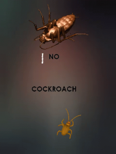 A Poster That Says No Cockroach With A Cartoon Cockroach GIF