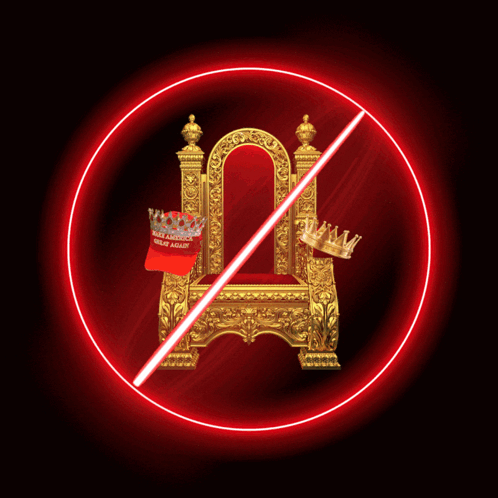 A Poster That Says No Rings Day June 17Th Because America Belongs To All Of Us GIF
