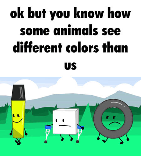 A Poster That Says Ok But You Know How Some Animals See Different Colors Than Us On It GIF