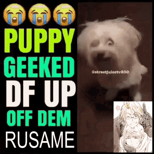 A Poster That Says Puppy Geeked Df Up Off Dem GIF
