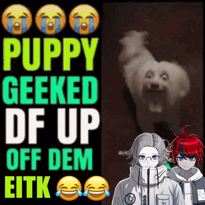 A Poster That Says ' Puppy Geeked Df Up Off Dem Eitk ' GIF