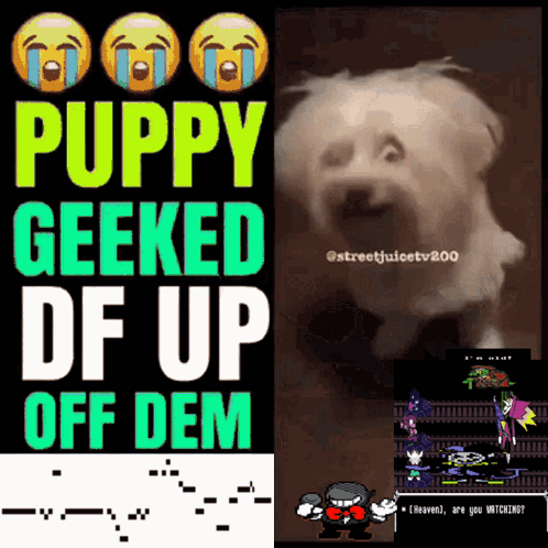 A Poster That Says " Puppy Geeked Df Up Off Dem " On It GIF
